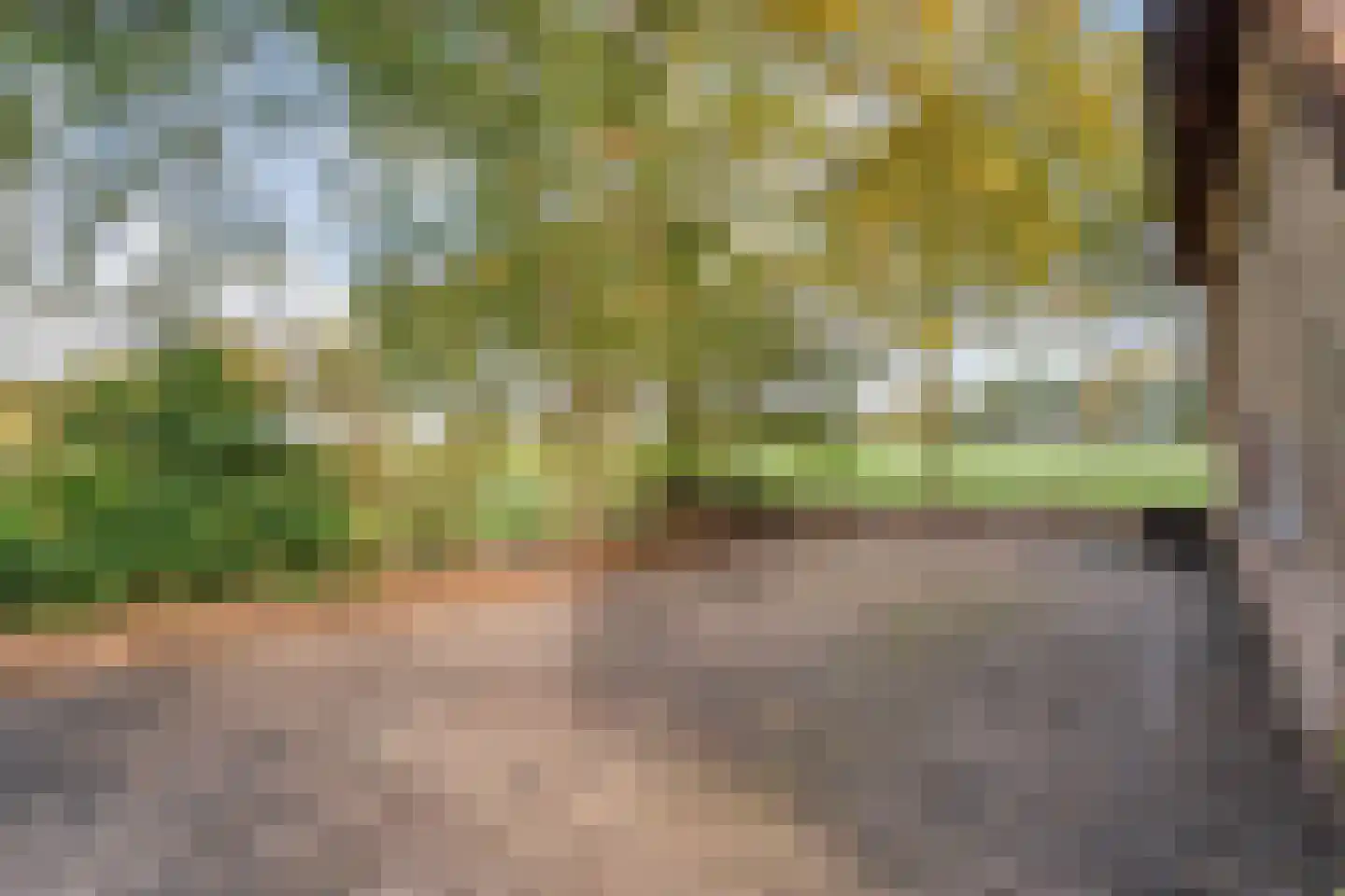 Armweide 5 Ruinen thumbnail 41