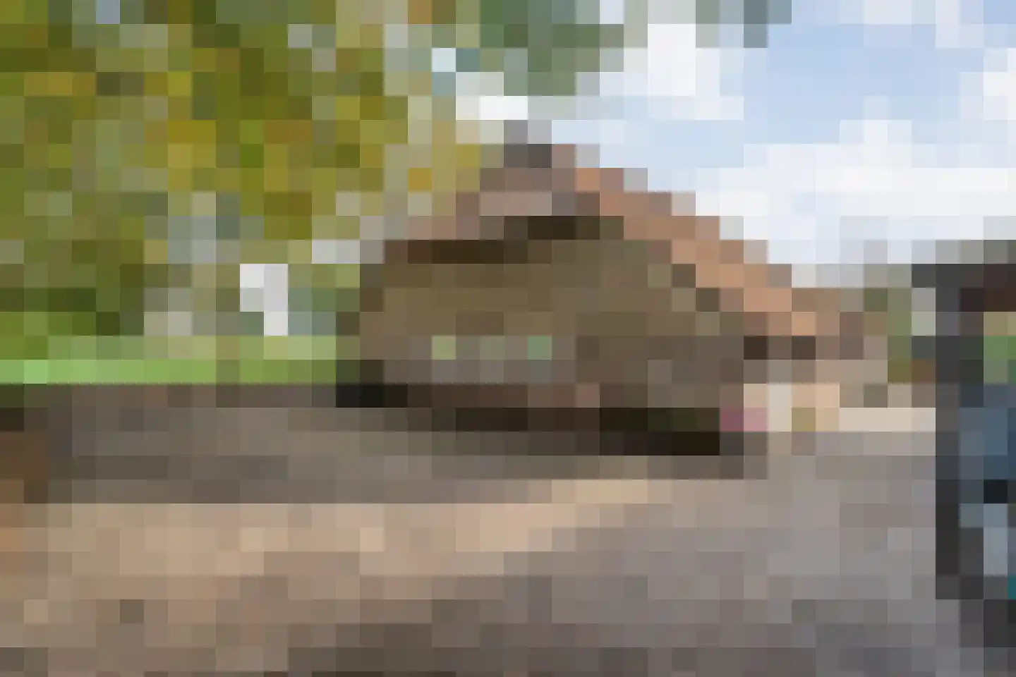 Armweide 5 Ruinen thumbnail 42
