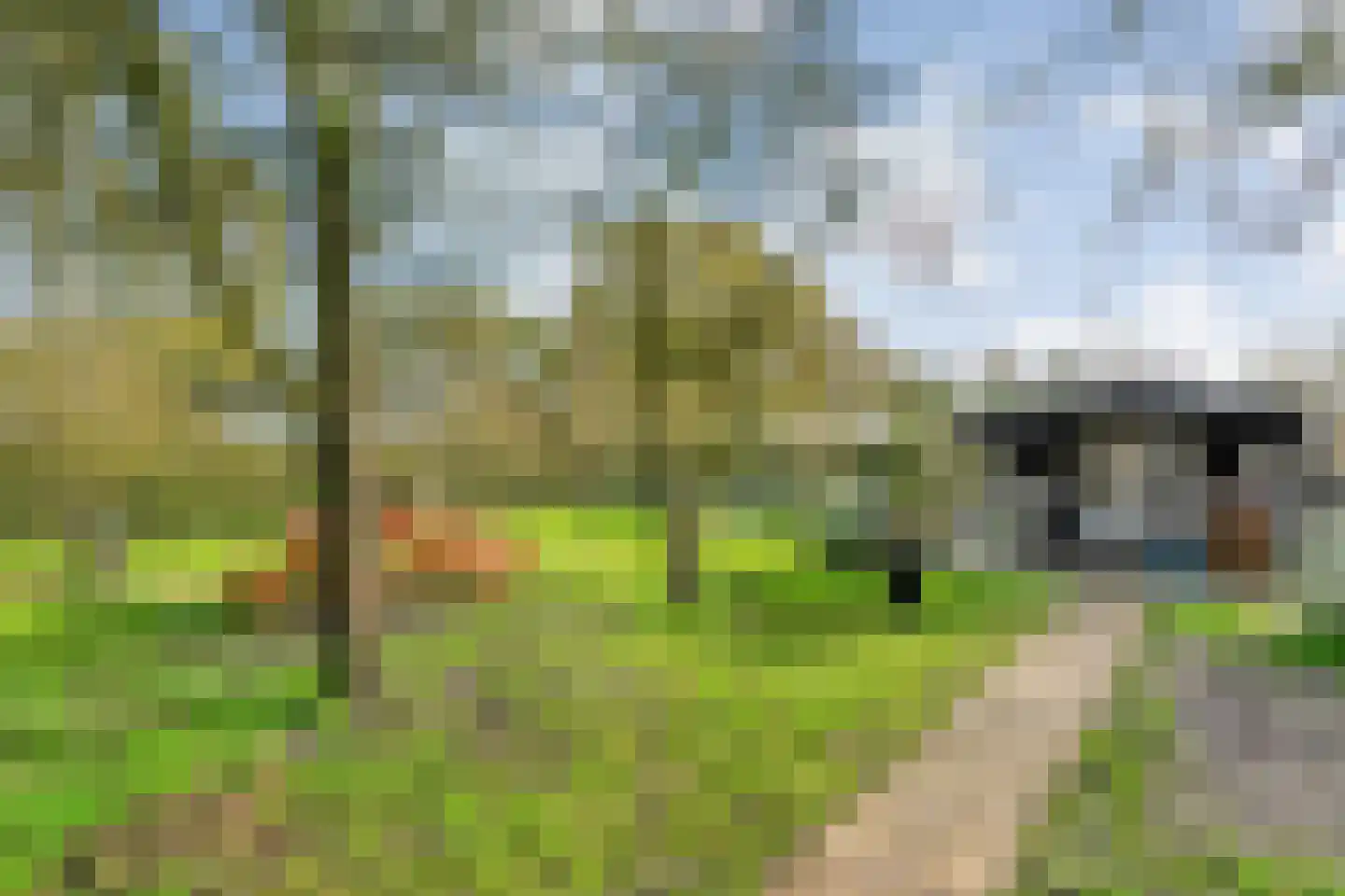 Armweide 5 Ruinen thumbnail 43