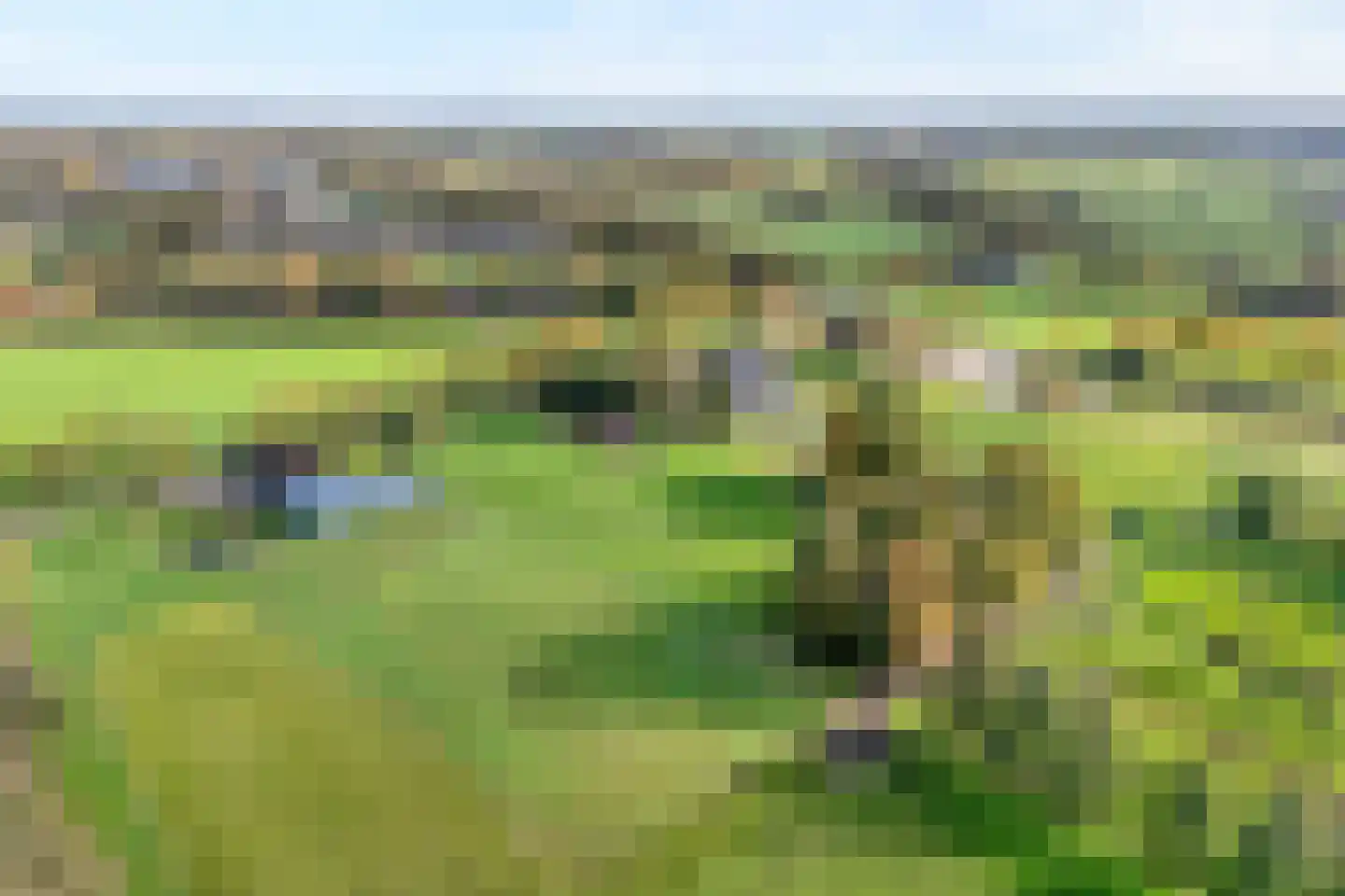 Armweide 5 Ruinen thumbnail 49