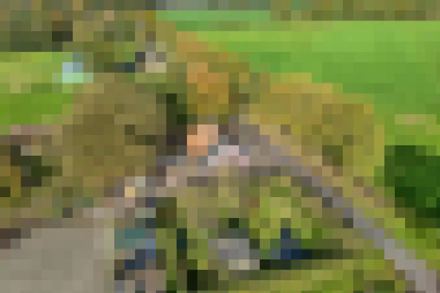 Armweide 5 Ruinen thumbnail 5