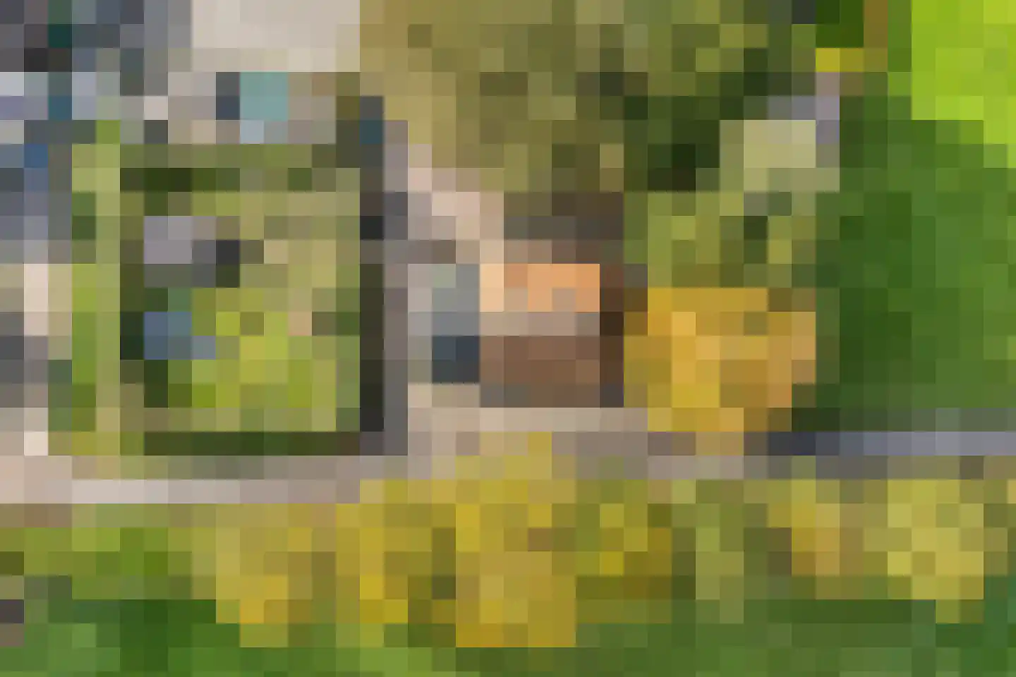 Armweide 5 Ruinen thumbnail 51