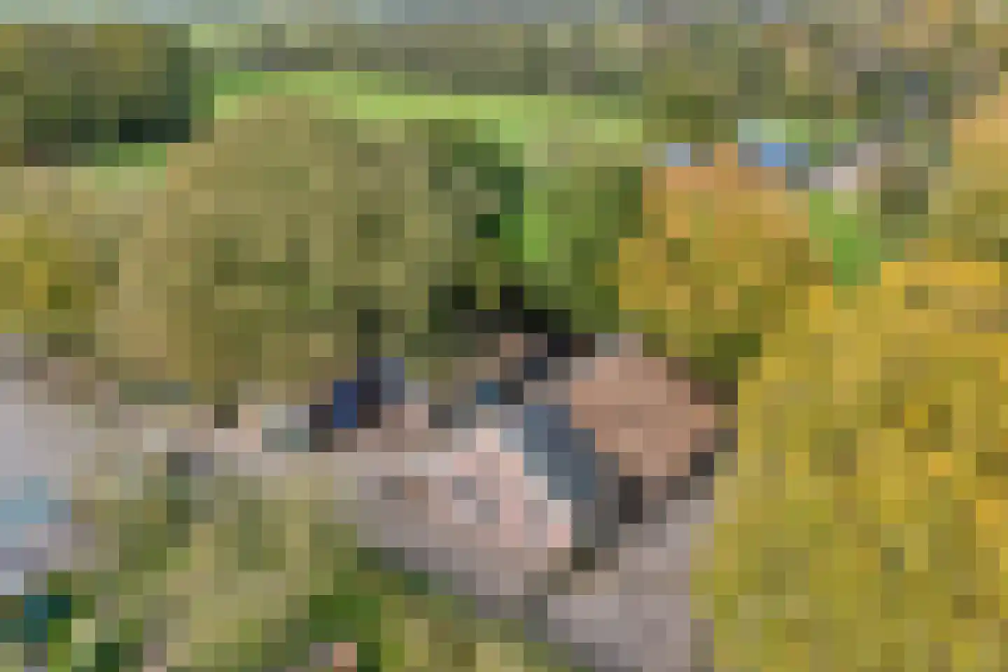 Armweide 5 Ruinen thumbnail 6