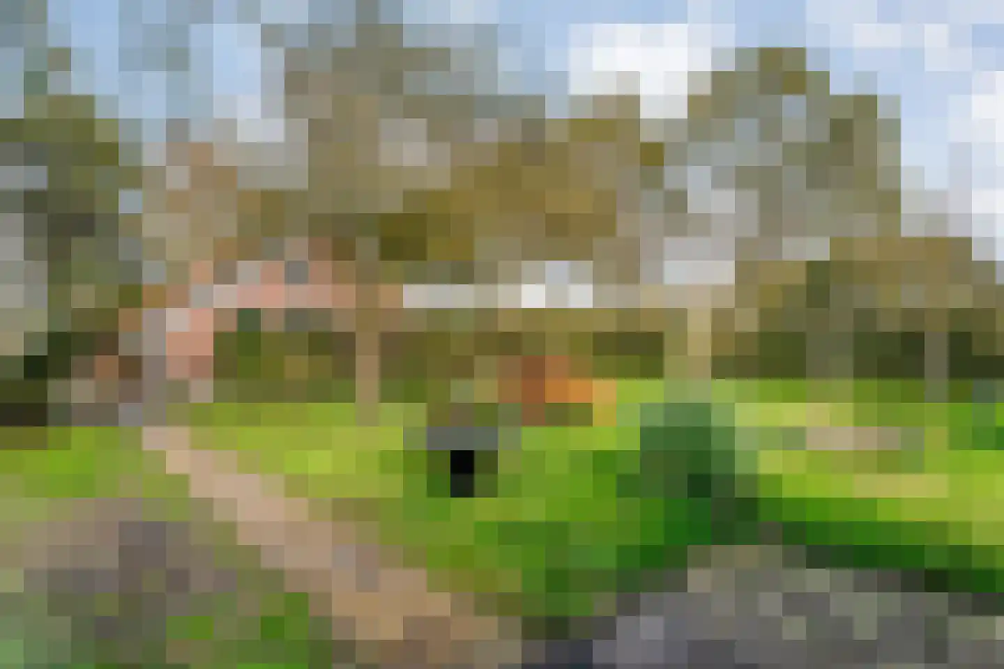 Armweide 5 Ruinen thumbnail 7