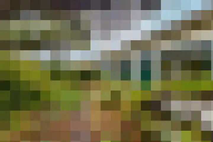 Arnelaan 2 Middelburg thumbnail 23