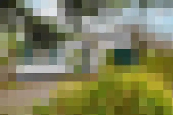 Arnelaan 2 Middelburg thumbnail 27