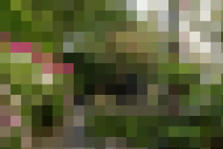 Arnelaan 2 Middelburg thumbnail 29