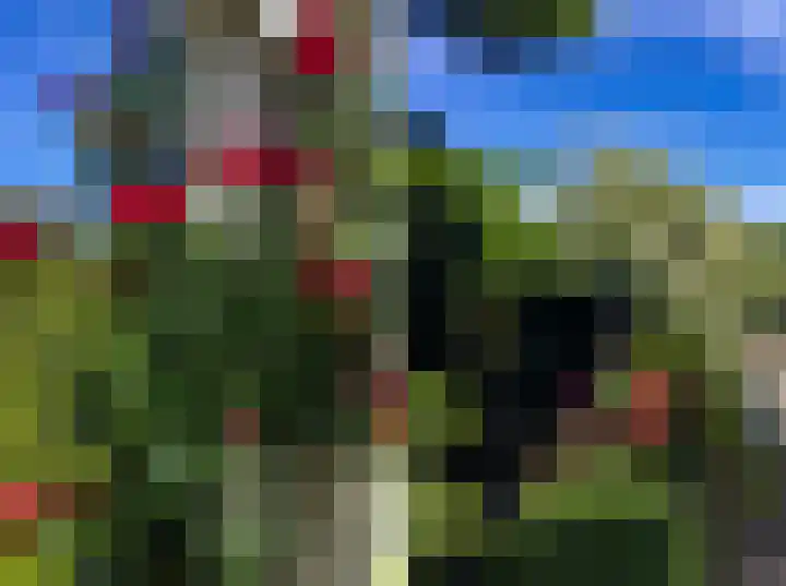 Arnelaan 2 Middelburg thumbnail 30