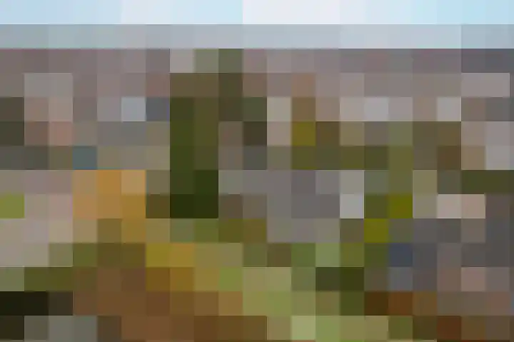 Arnelaan 2 Middelburg thumbnail 7