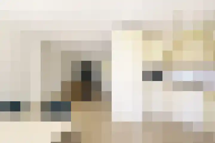 Arnhemseweg 13 Leusden thumbnail 10