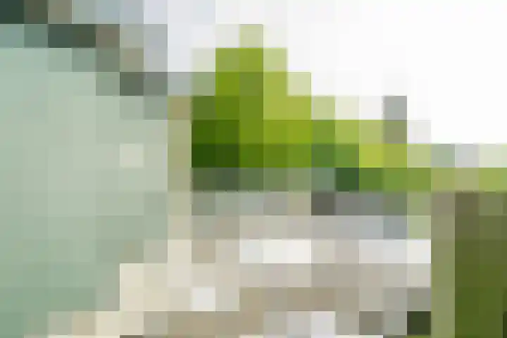 Arnhemseweg 13 Leusden thumbnail 22