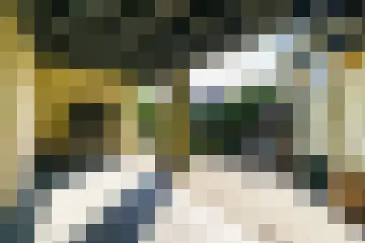 Arnhemseweg 13 Leusden thumbnail 30