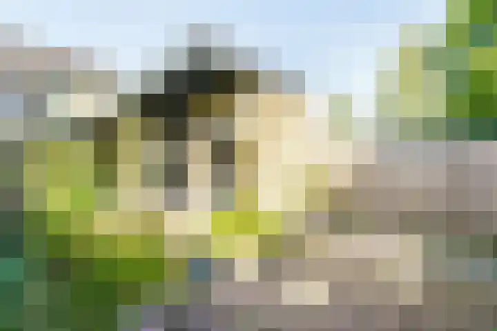 Arnhemseweg 13 Leusden thumbnail 31