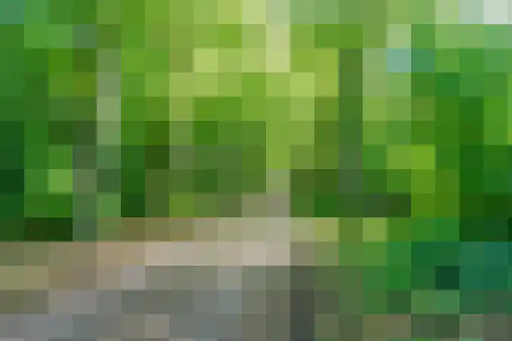 Arnhemseweg 13 Leusden thumbnail 40
