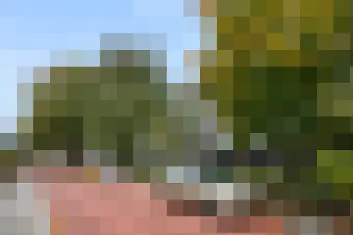 Arnhemseweg 34 Ede thumbnail 34