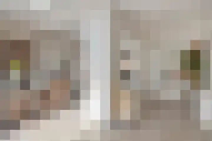 Arnoldenstraat 9 Stein thumbnail 21
