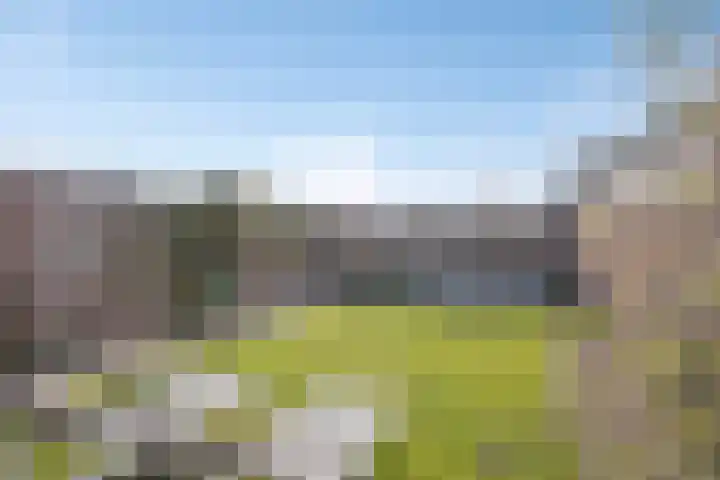 Arnoldenstraat 9 Stein thumbnail 4