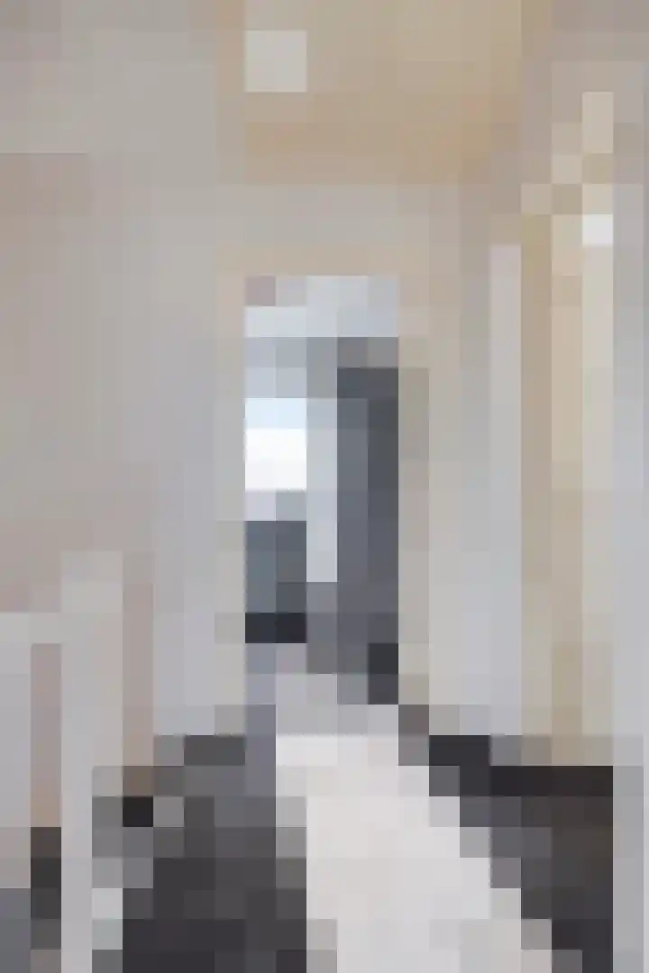 Arnoldenstraat 9 Stein thumbnail 42