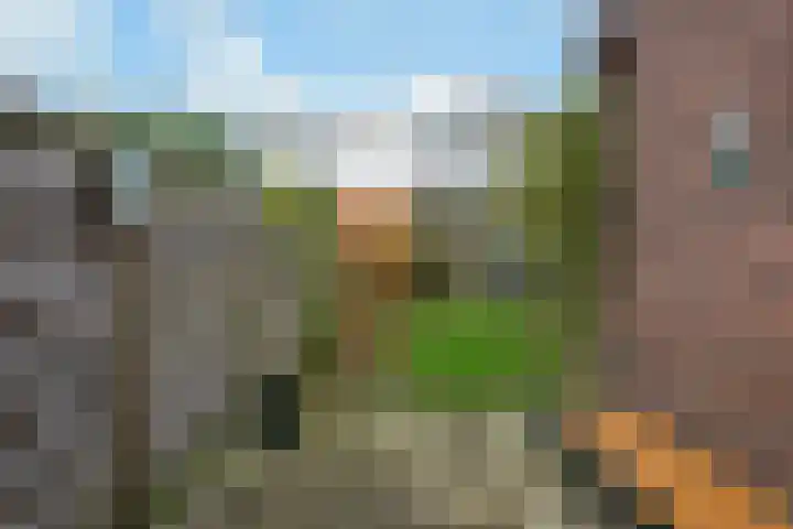 Arnoudstraat 54 Arnhem thumbnail 11