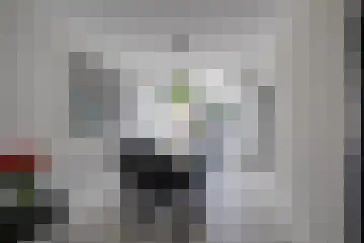Arnoutlaan 6 Hoeven thumbnail 13