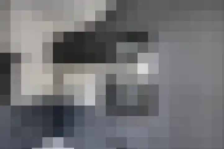 Arnoutlaan 6 Hoeven thumbnail 15