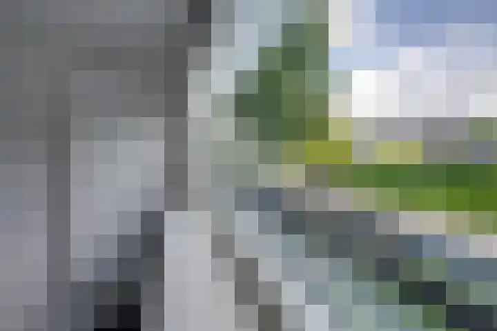Arnoutlaan 6 Hoeven thumbnail 21