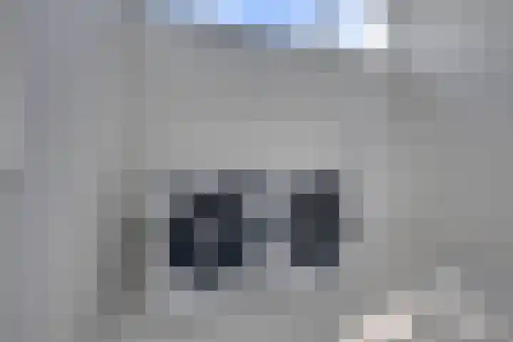Arnoutlaan 6 Hoeven thumbnail 29