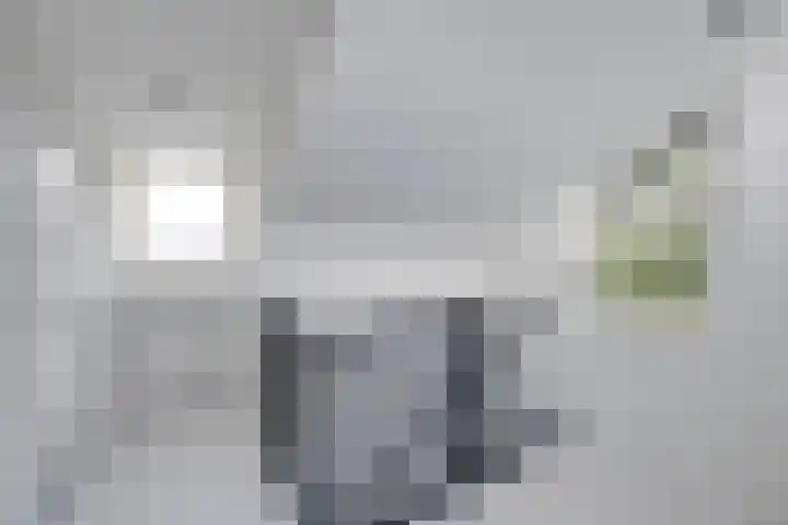 Arnoutlaan 6 Hoeven thumbnail 30