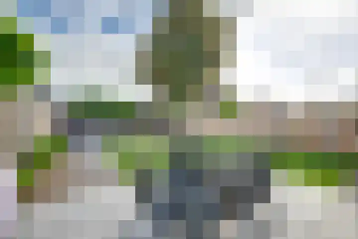 Arnoutlaan 6 Hoeven thumbnail 34