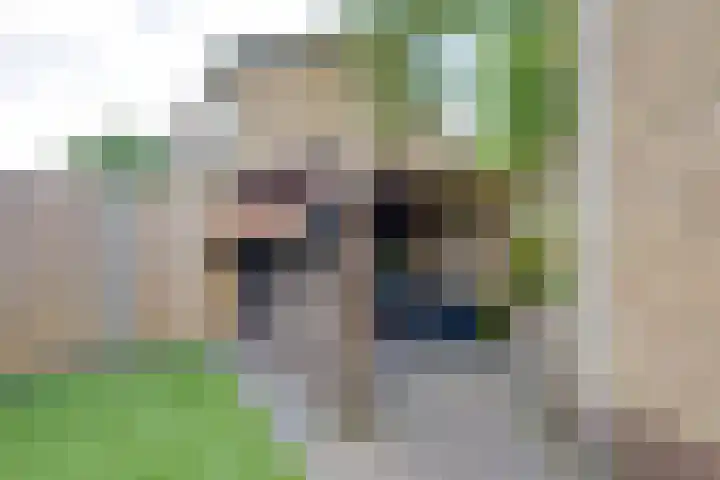 Arnoutlaan 6 Hoeven thumbnail 41