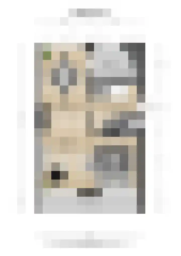 Arnoutlaan 6 Hoeven thumbnail 43