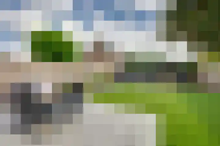 Arnoutlaan 6 Hoeven thumbnail 5