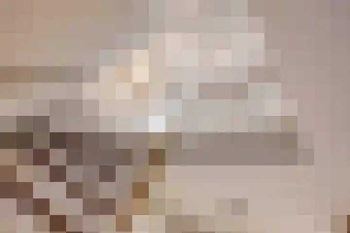 Arnulfstraat 39 Guttecoven thumbnail 11
