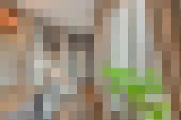 Arnulfstraat 39 Guttecoven thumbnail 17