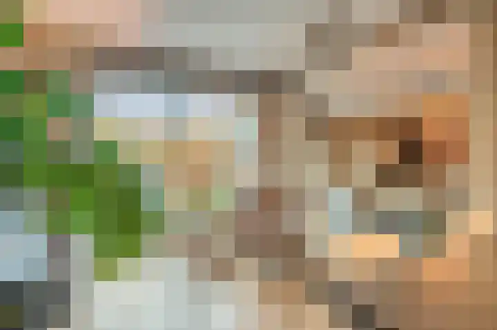 Arnulfstraat 39 Guttecoven thumbnail 21