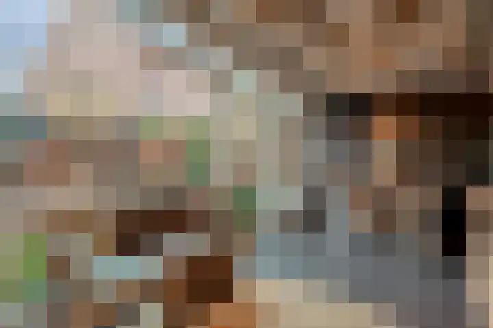 Arnulfstraat 39 Guttecoven thumbnail 34