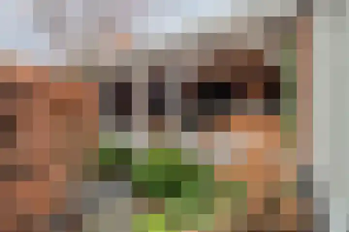 Arnulfstraat 39 Guttecoven thumbnail 36