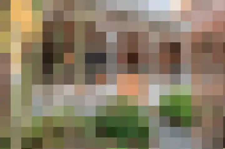 Arnulfstraat 39 Guttecoven thumbnail 39