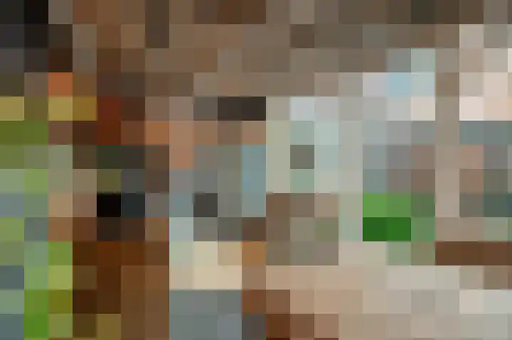Arnulfstraat 39 Guttecoven thumbnail 41