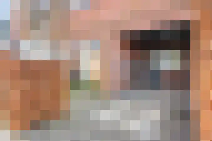 Arnulfstraat 39 Guttecoven thumbnail 5
