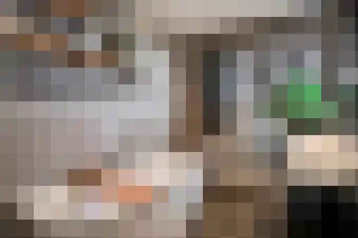 Arnulfstraat 39 Guttecoven thumbnail 50