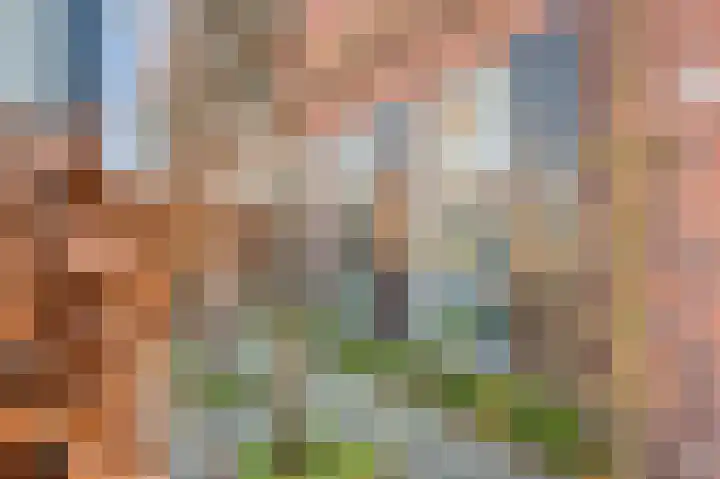 Arnulfstraat 39 Guttecoven thumbnail 6