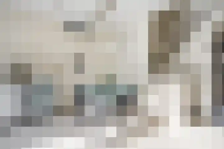 Arondeusstraat 2 Amsterdam thumbnail 13