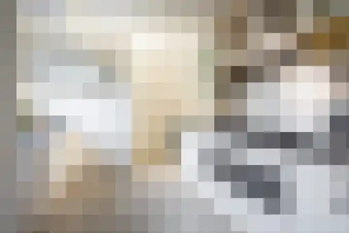 Arondeusstraat 2 Amsterdam thumbnail 18