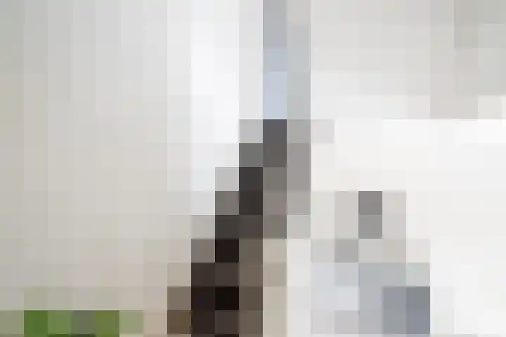 Arondeusstraat 2 Amsterdam thumbnail 21