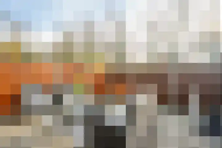Arondeusstraat 2 Amsterdam thumbnail 32
