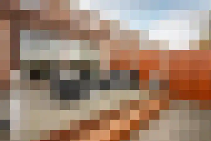 Arondeusstraat 2 Amsterdam thumbnail 34