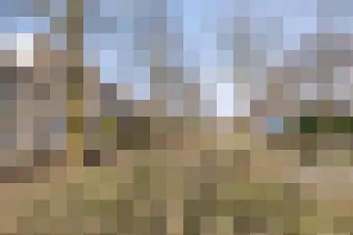 Aronskelk 19 Cuijk thumbnail 10