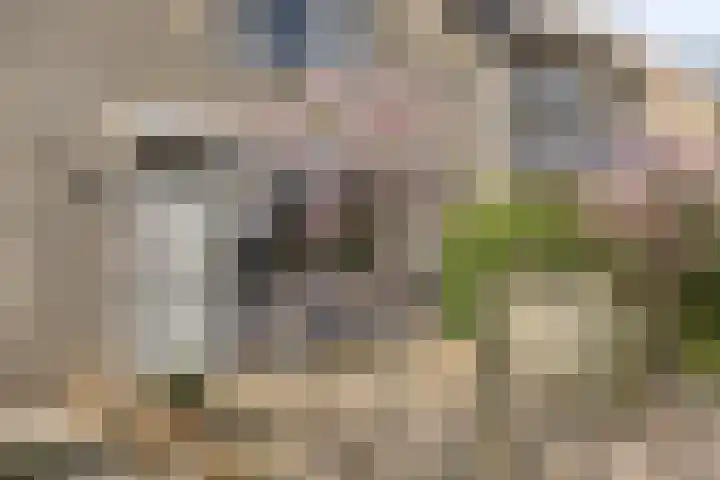 Aronskelk 19 Cuijk thumbnail 11