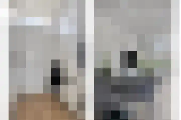 Aronskelk 19 Cuijk thumbnail 14